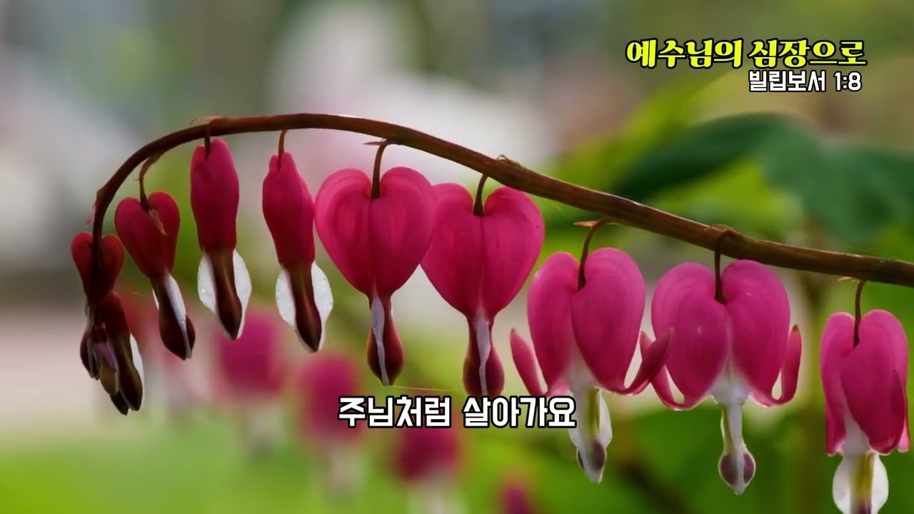 예수님의 심장으로@유요한 목사