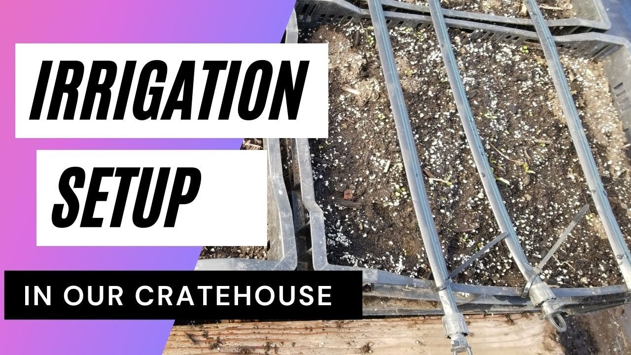 Irrigation Setup in The Crate House