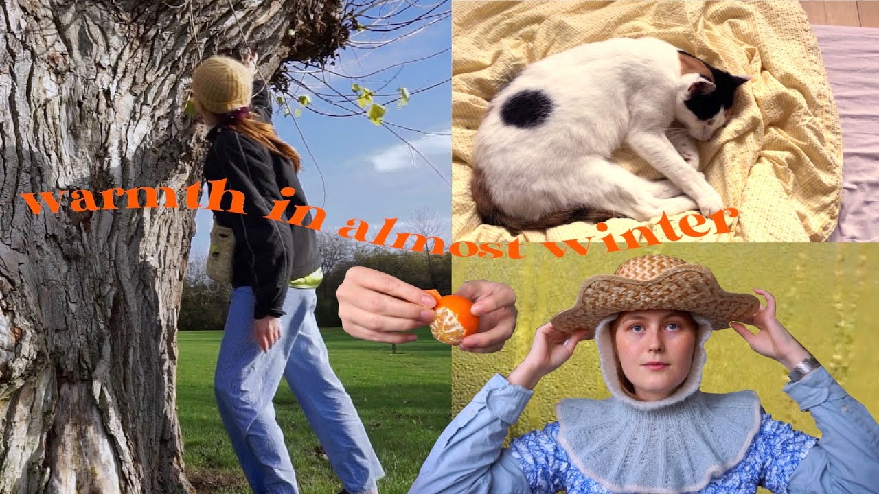 thrifting, biking, knitting balaclavas; some warmth in november ⁽ᵛˡᵒᵍ⁾