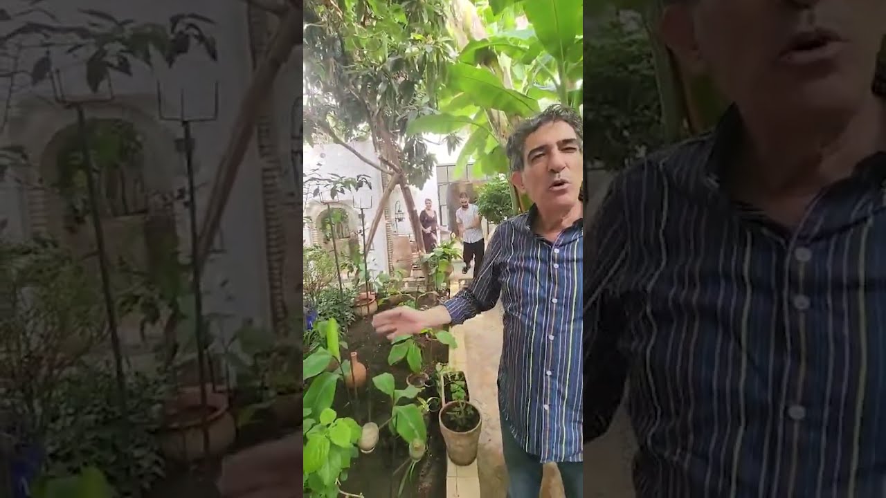 رحلة في مدينة أصيلة.. متحف فني مفتوح