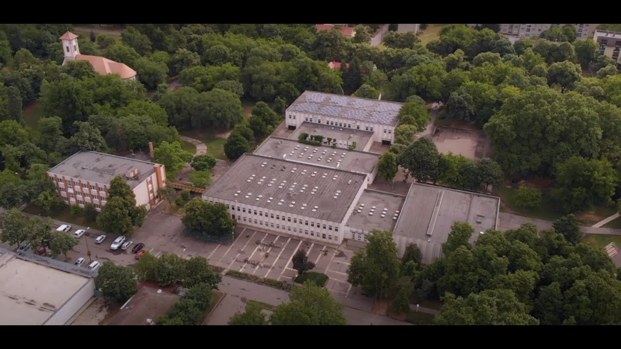 Mezőhegyesi József Attila Általános Iskola gyermeknapi meglepetés tánc