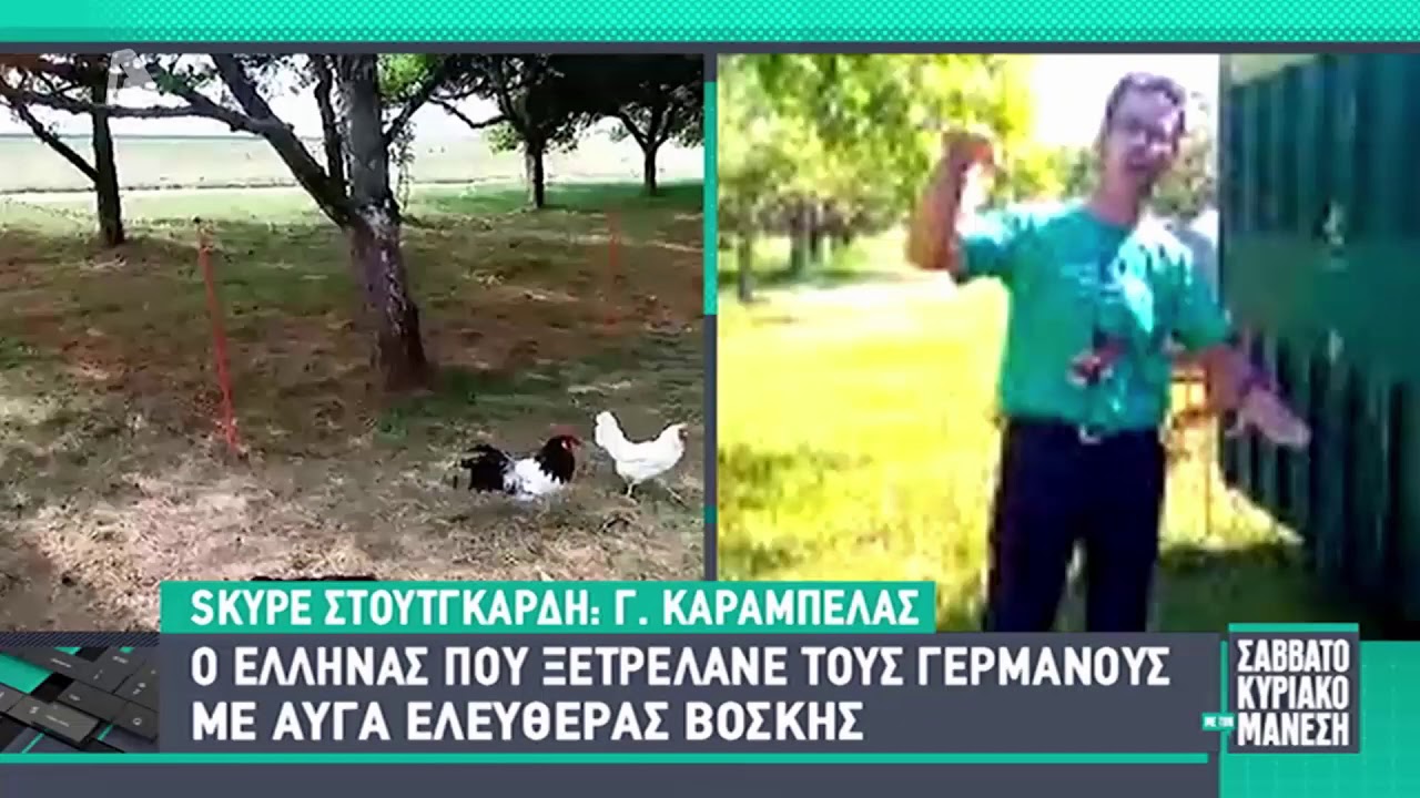 Εκτρέφει κότες αλά Ελληνικά στην Γερμανία