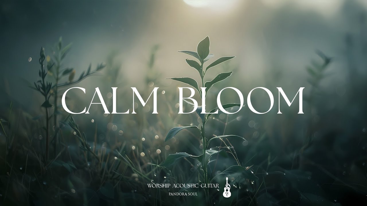 CALM BLOOM - Soaking Worship Acoustic Guitar Instrumental | Prayer And Devotional