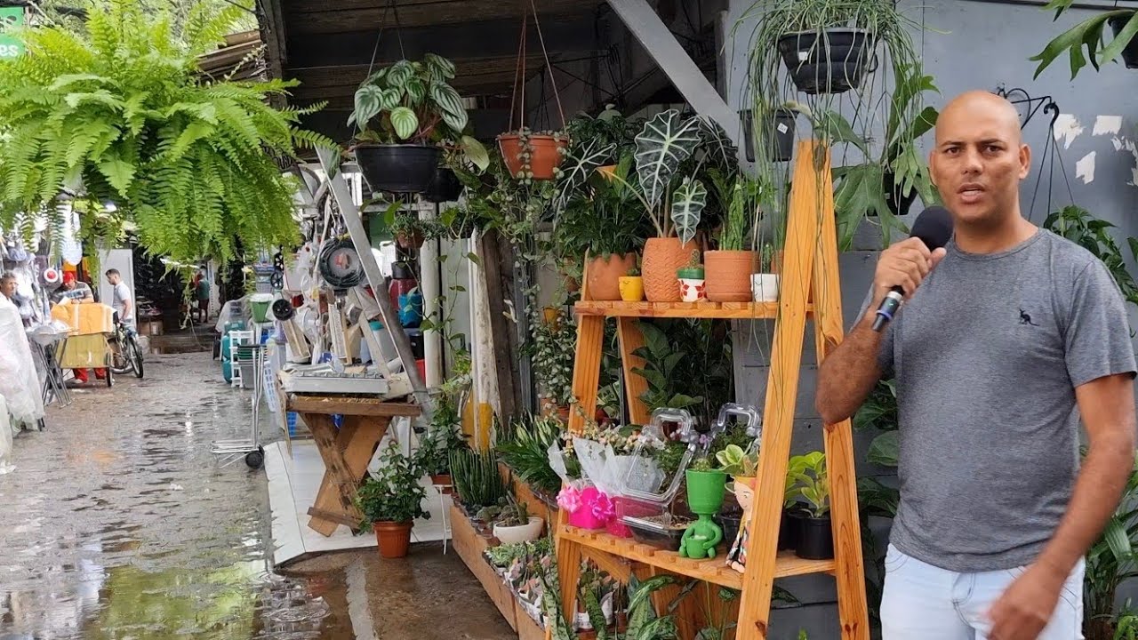 Floricultura ponto Verde em Caruaru
