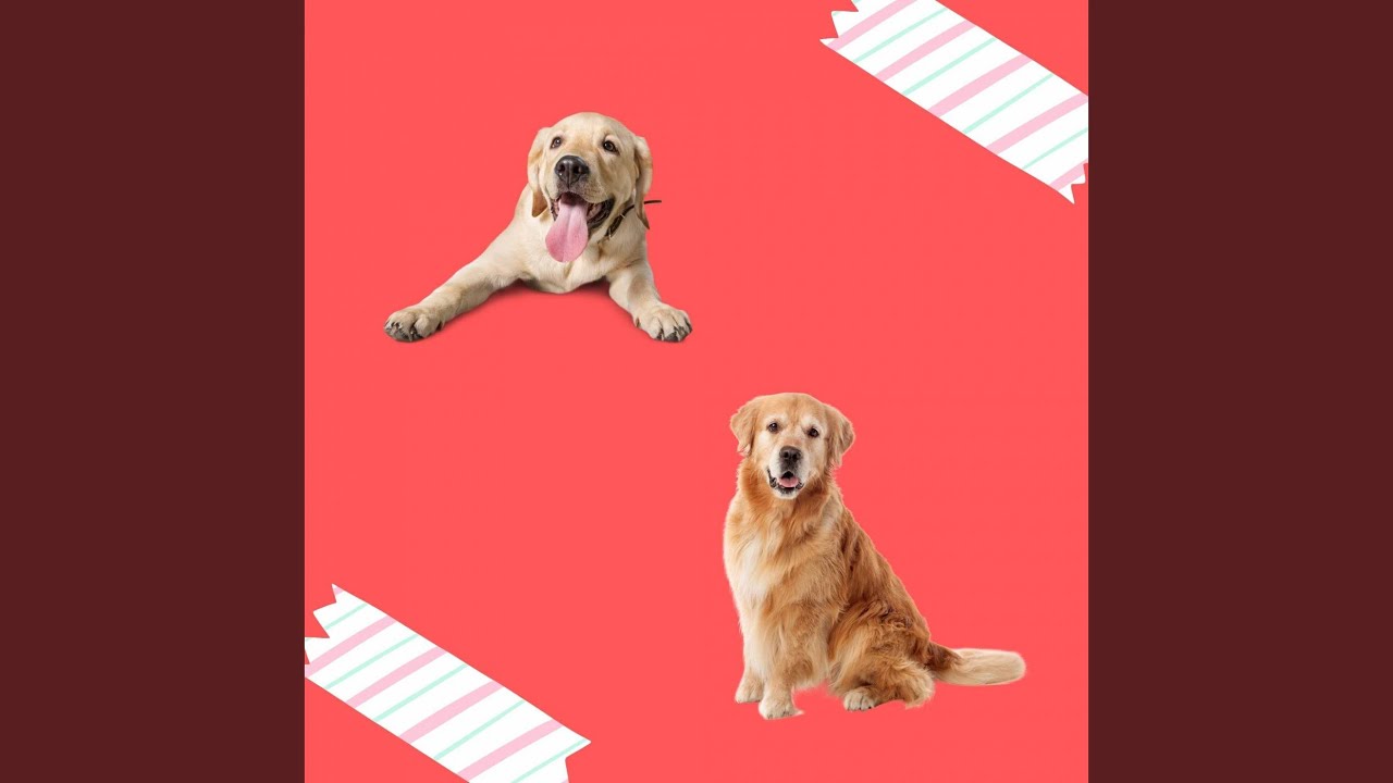 Swanky Jazz Waltz - Vibe for Roaming Puppy