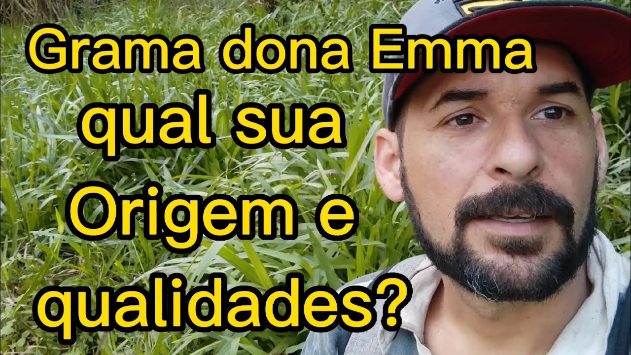Qualidades e Origem da Grama Dona Emma!