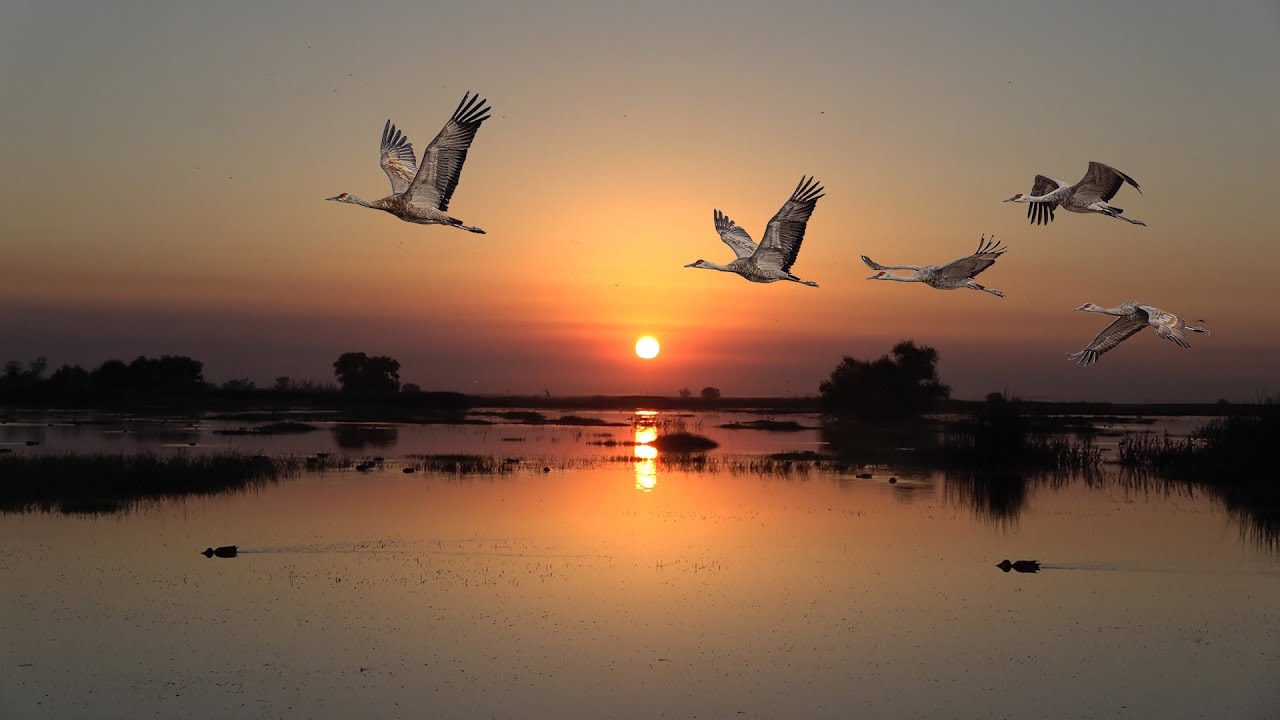 Sunrise over Merced National Wildlife Refuge, Central Valley, California.