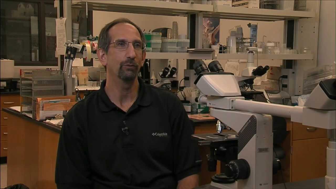 Drug Resistance in Parasites