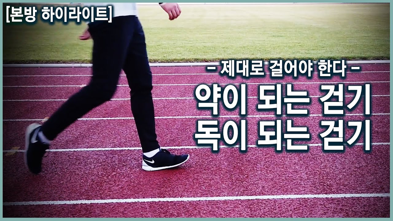 내 몸에 약이 되는 걷기, 대체 어떻게 걸어야 할까?! (KBS_2019.11.06 방송)