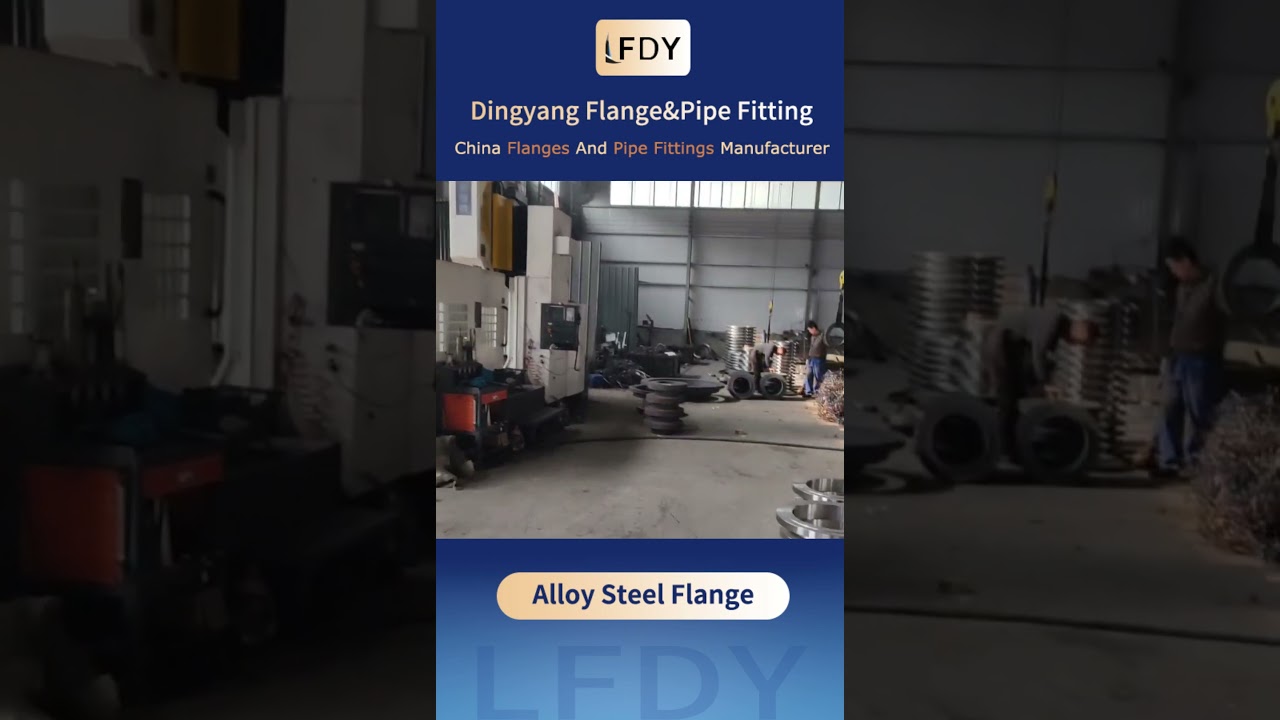 Dingyang Alloy steel flanges#alloysteelflange #carbonsteel