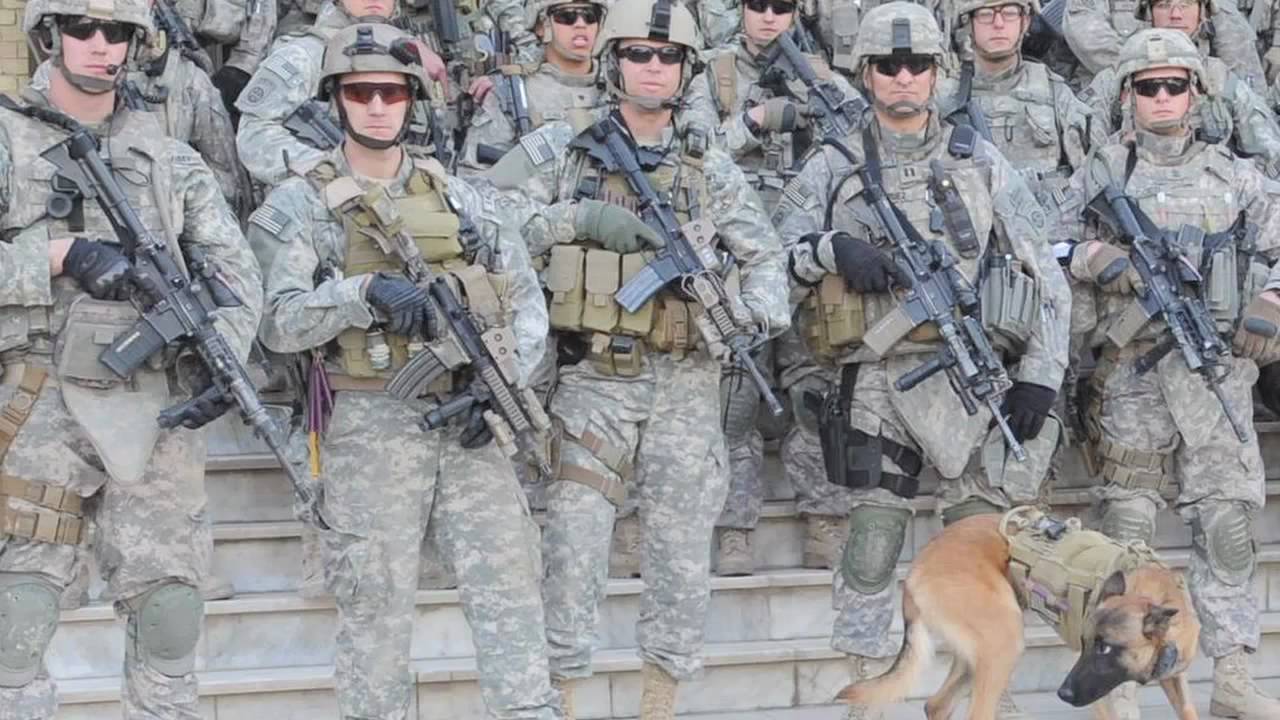 A Tribute to K9 Veterans