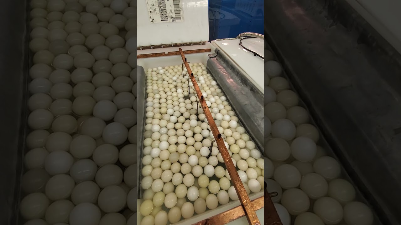 Caswell Anodize Process - Anodizing Tank Setup