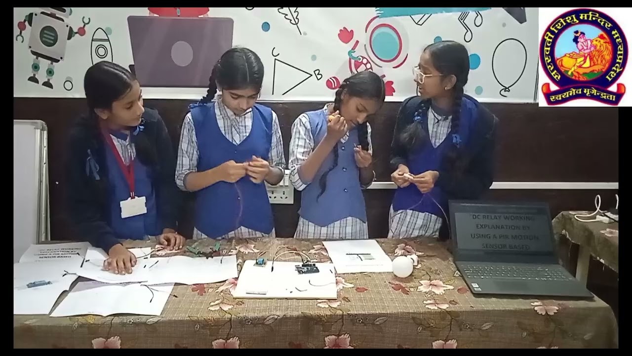 DC RELAY WORKING EXPLANATION BY USING PIR MOTION SENSOR 