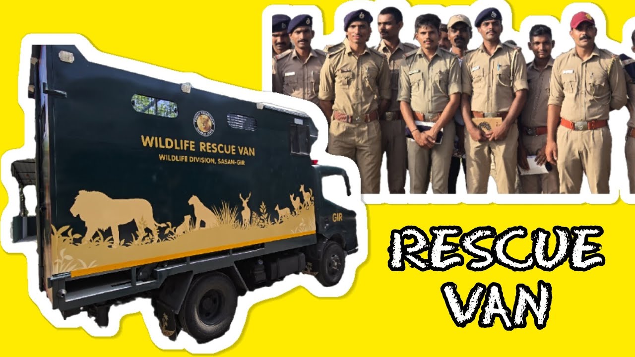24/7 Animal Rescue Van in Action/Emergency Animal Rescue Van Every Life Matters