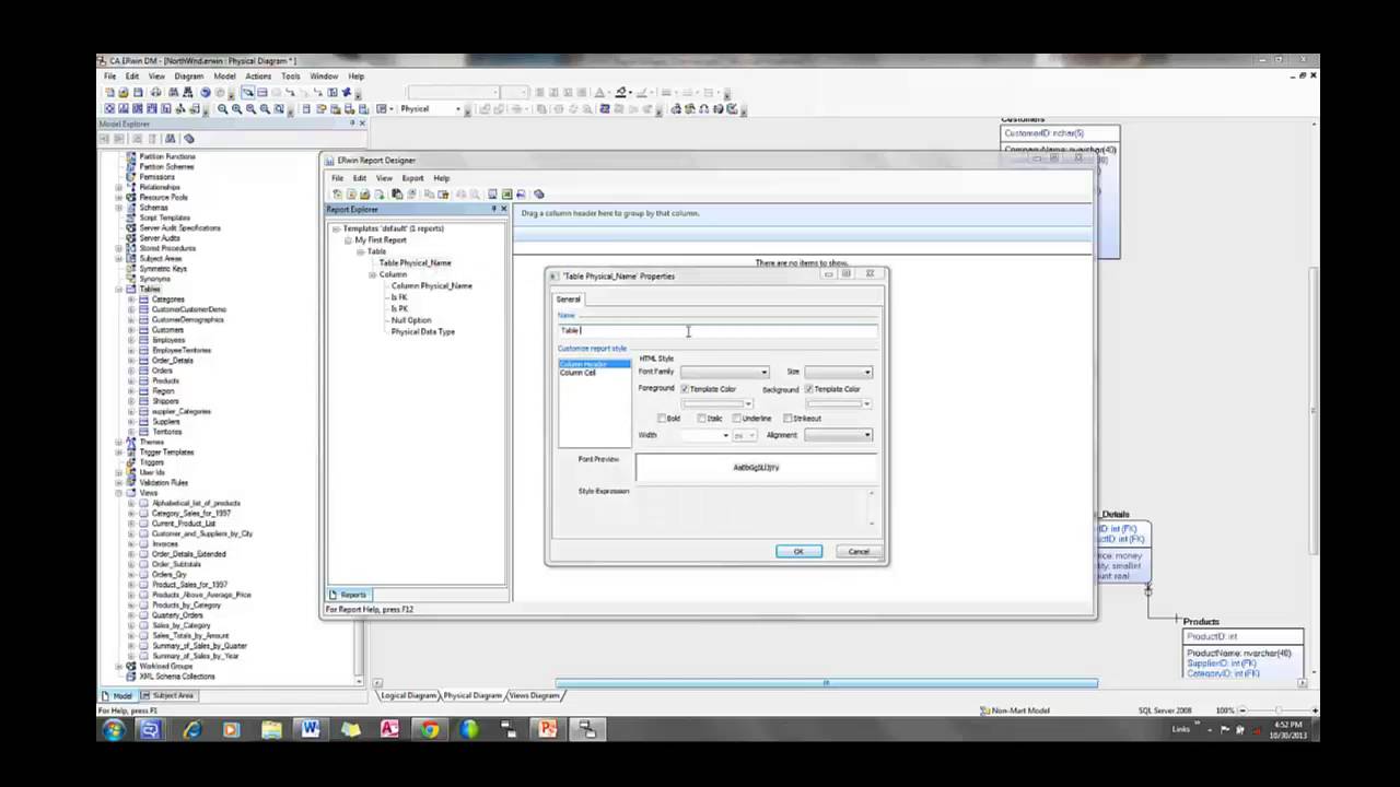 ERwin Report Designer Introduction