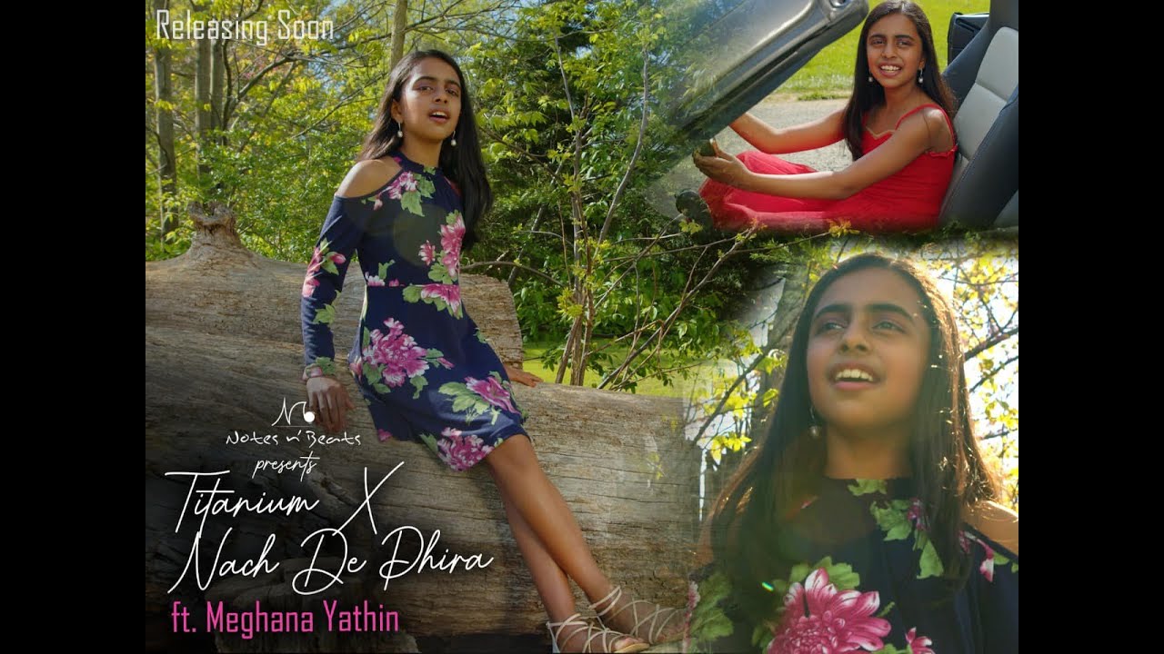 Titanium x Nach De Phira | Fusion Cover | ft. Meghana Yathin | Notes n' Beats