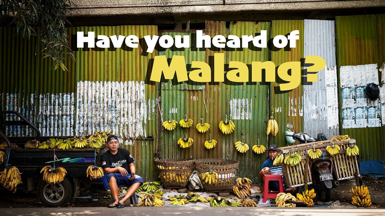 Exploring Indonesia's Most Vibrant Village | Malang