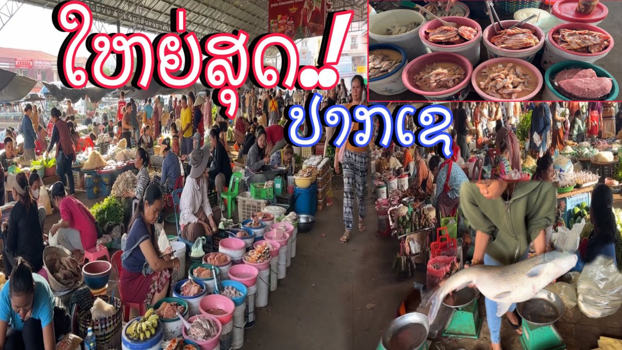ໃຫຍ່ສຸດ.!ຕະຫລາດສົດປາກເຊລາວໃຕ້/ใหญ่ สุด.!ตลาดสดปากเชลาวใต้/Biggest fresh market in Pakse
