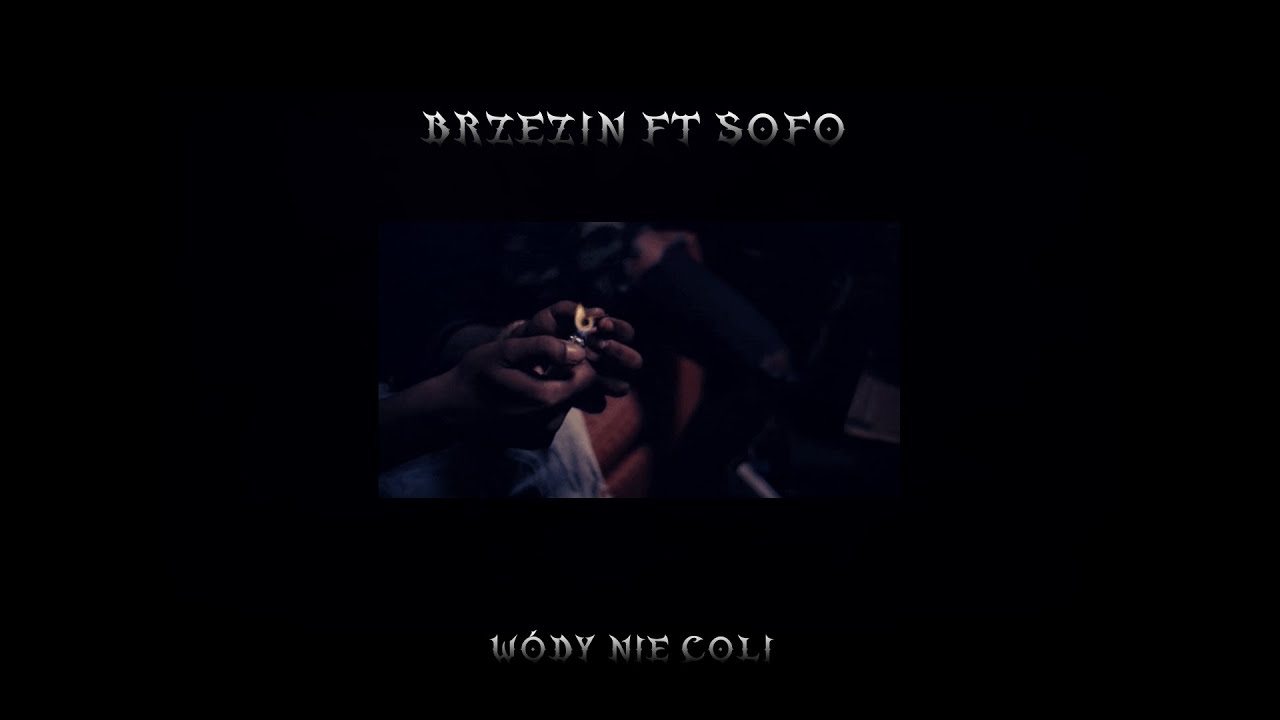 Brzezin ft. Sofo - wódy nie coli