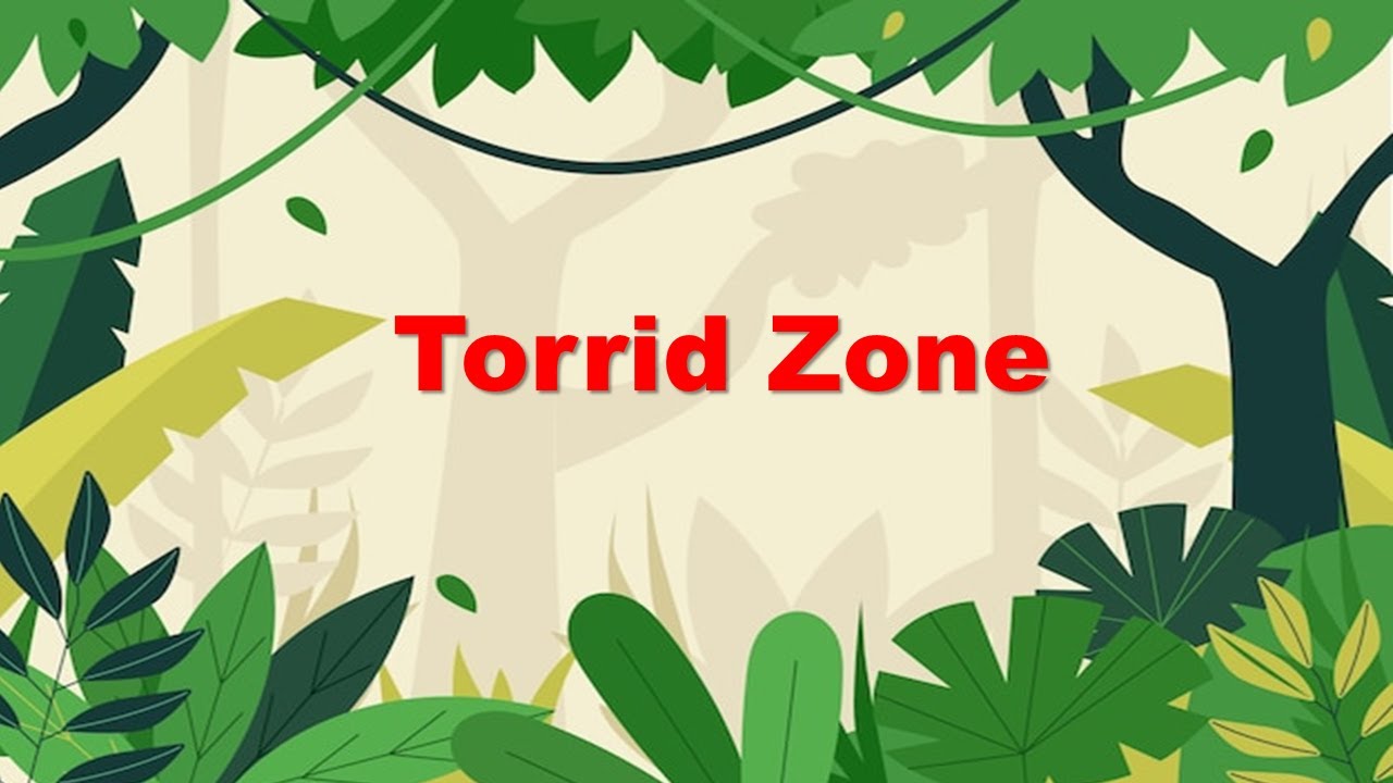 Torrid Zone l Temperature Zone of Earth l Equatorial Rain forest l Tropical Dessert l Class  5