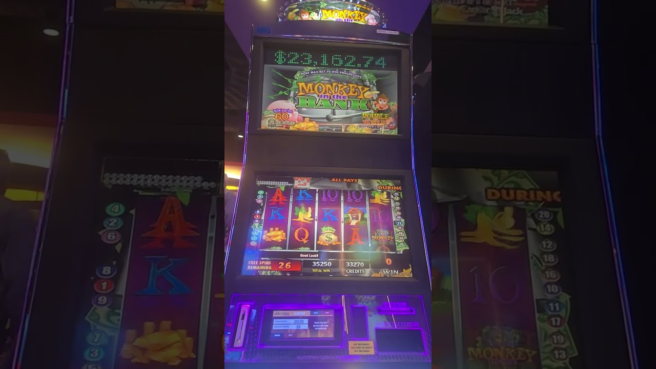 Got the five scatter s in the bonus
