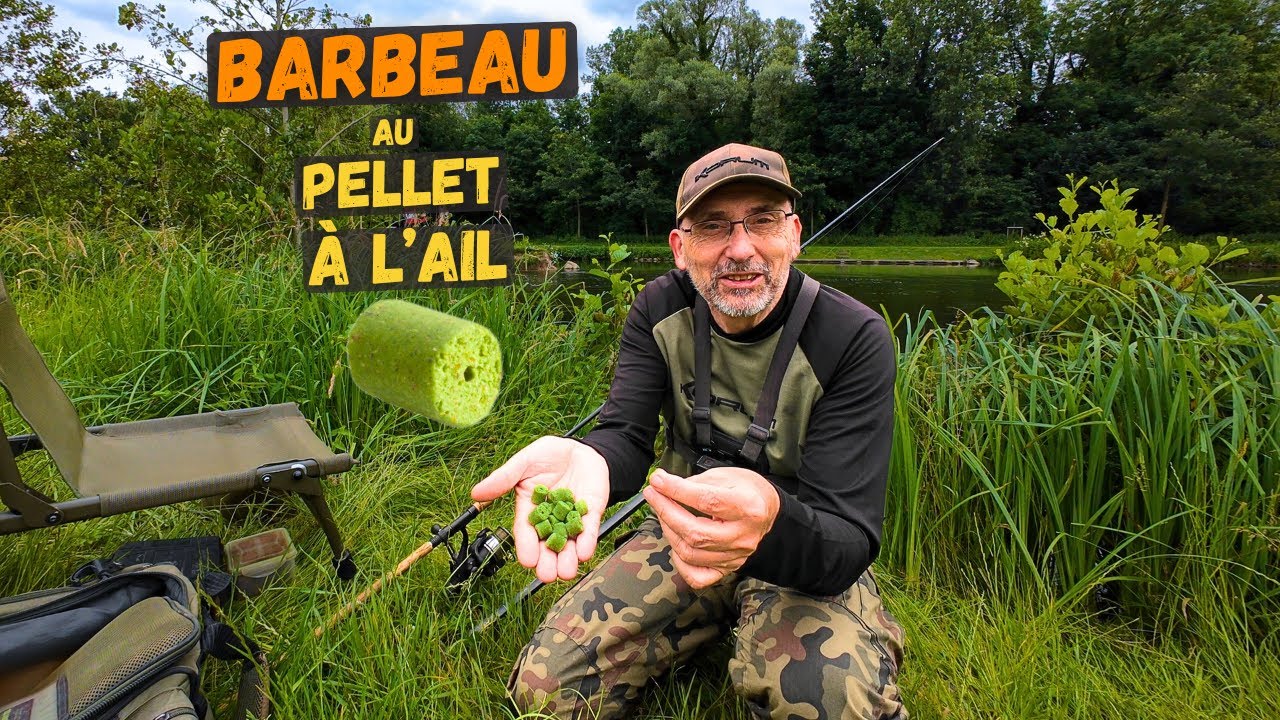 Un pellet à l'ail vert, un aimant à barbeau en eau claire ?