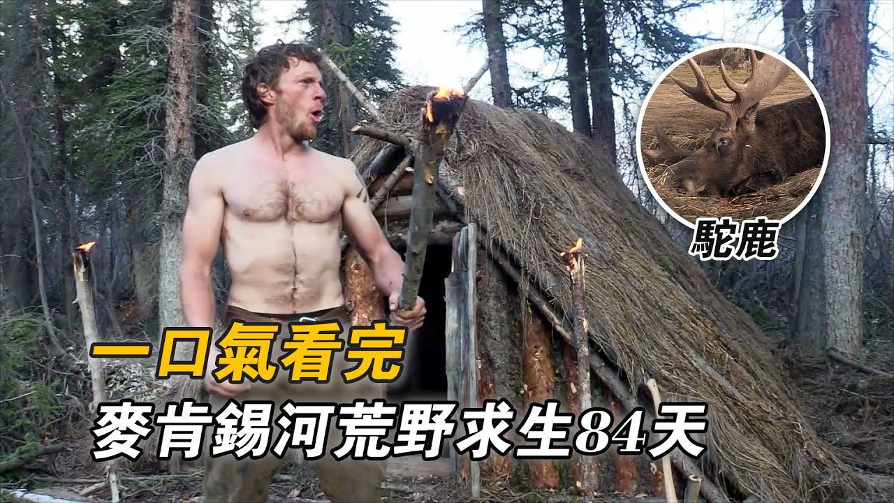 一口氣看完麥肯錫河荒野求生84天，狩獵上千斤老駝鹿，10斤梭子魚吃到膩，建造純實木荒野大別墅，冠軍將獲得50萬美金獎勵！紀錄片