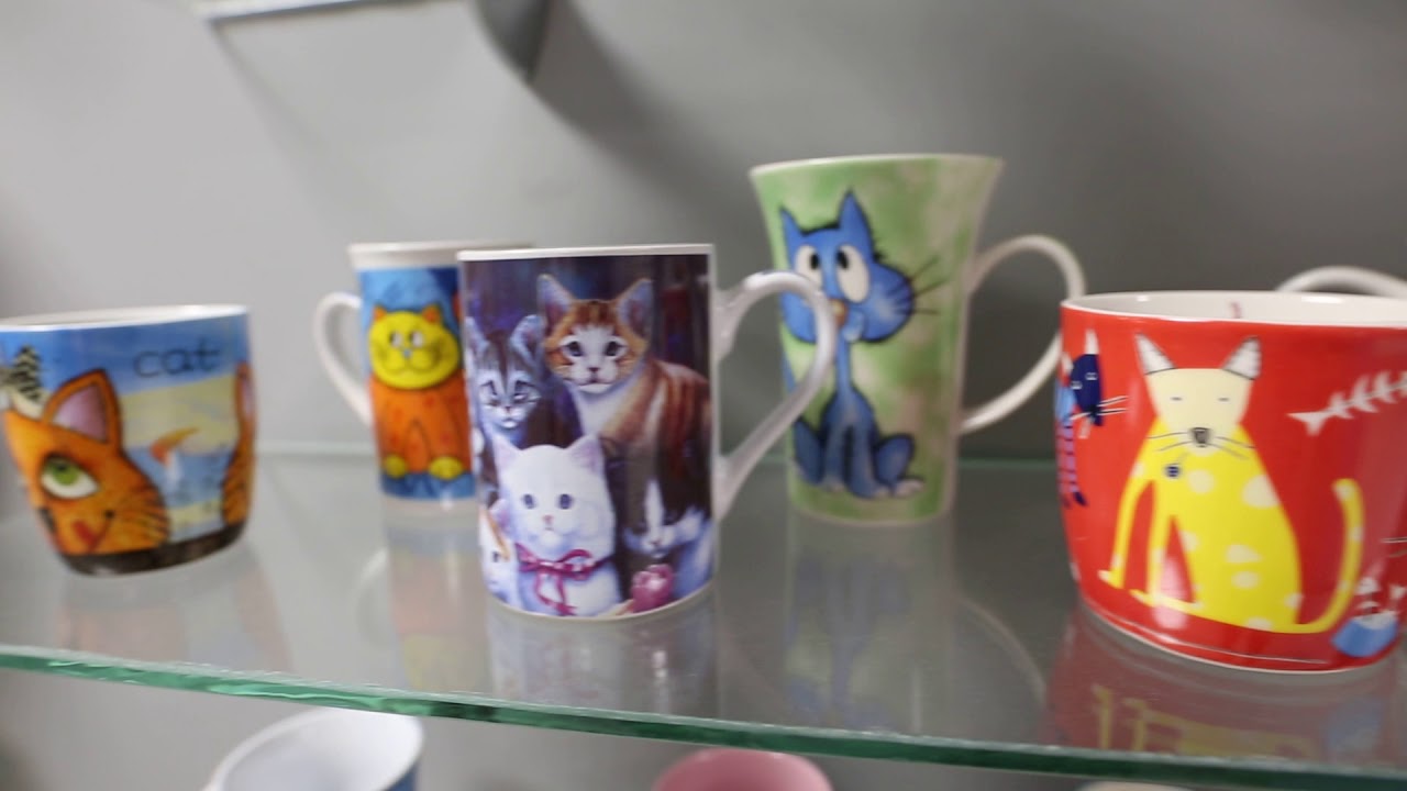 vienintelis Lietuvoje ir Baltijos šalyse Katinų muziejus