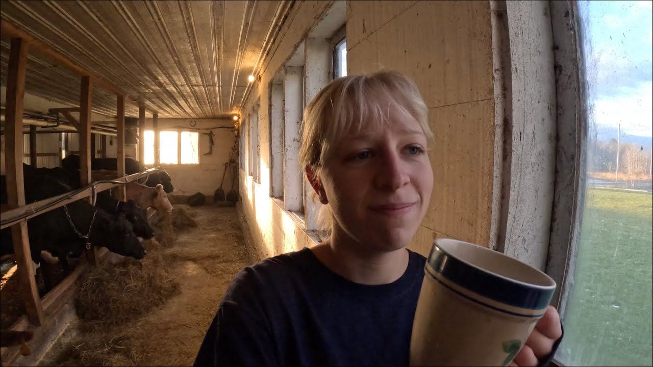 An unconventional fix saved the farm $600…