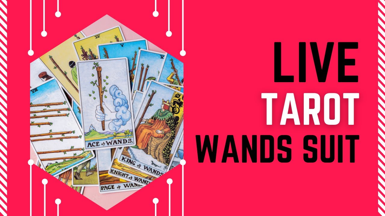 The Suit of Wands | How they Help in Career | Tarot Hindi
