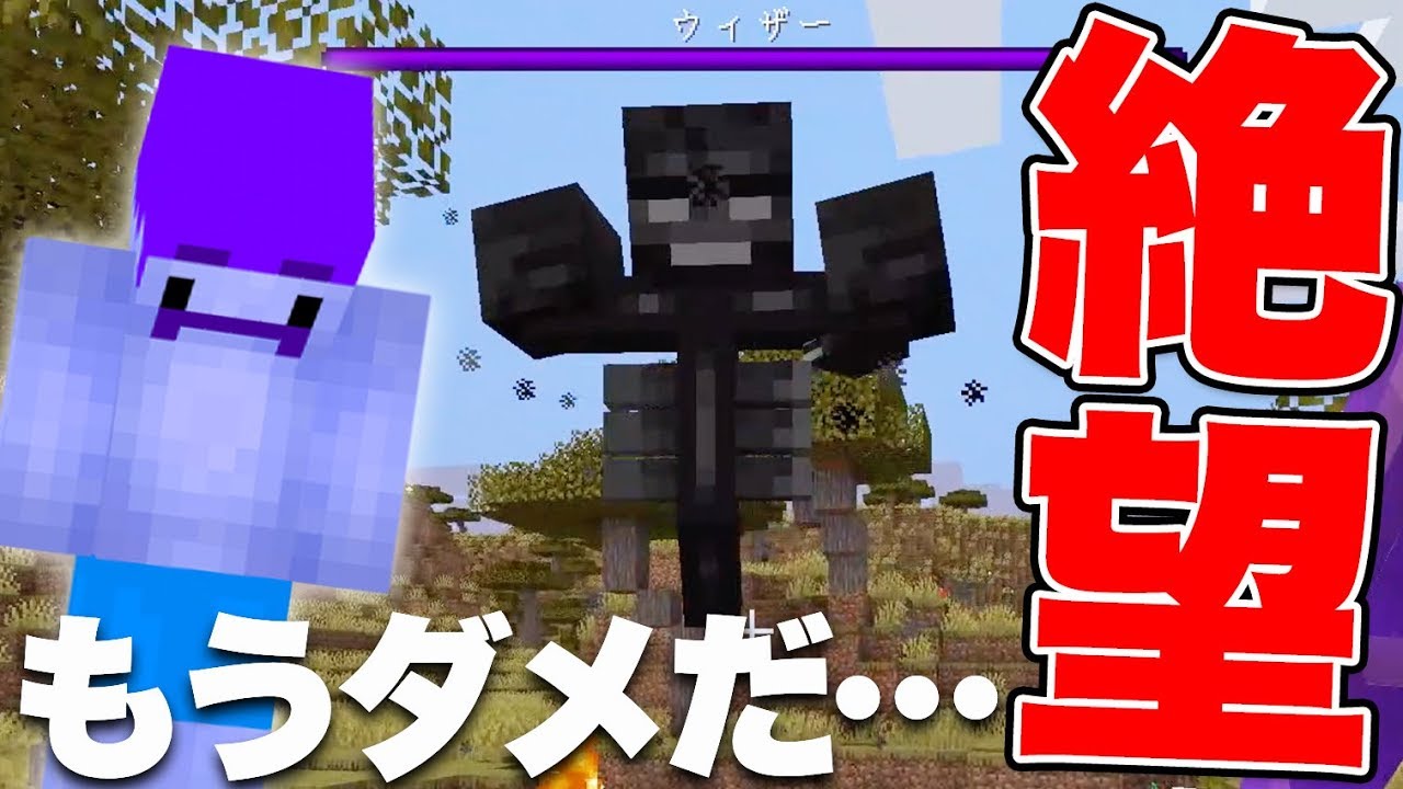 【マイクラ】ラスボス『ウィザー』を召喚した結果…全て失いました…【ドズクラPART200】【ドズぼん】