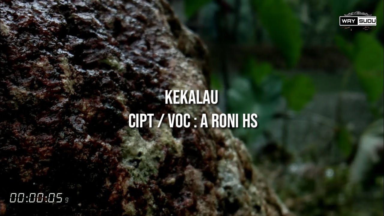 Kekalau | Cipt / Voc : A Roni HS | Gambus Tunggal Lampung | Video Lirik
