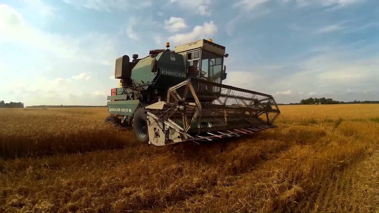 Kviečių kūlimas 2015 JENISEJ 1200H-Full HD--LIETUVA--
