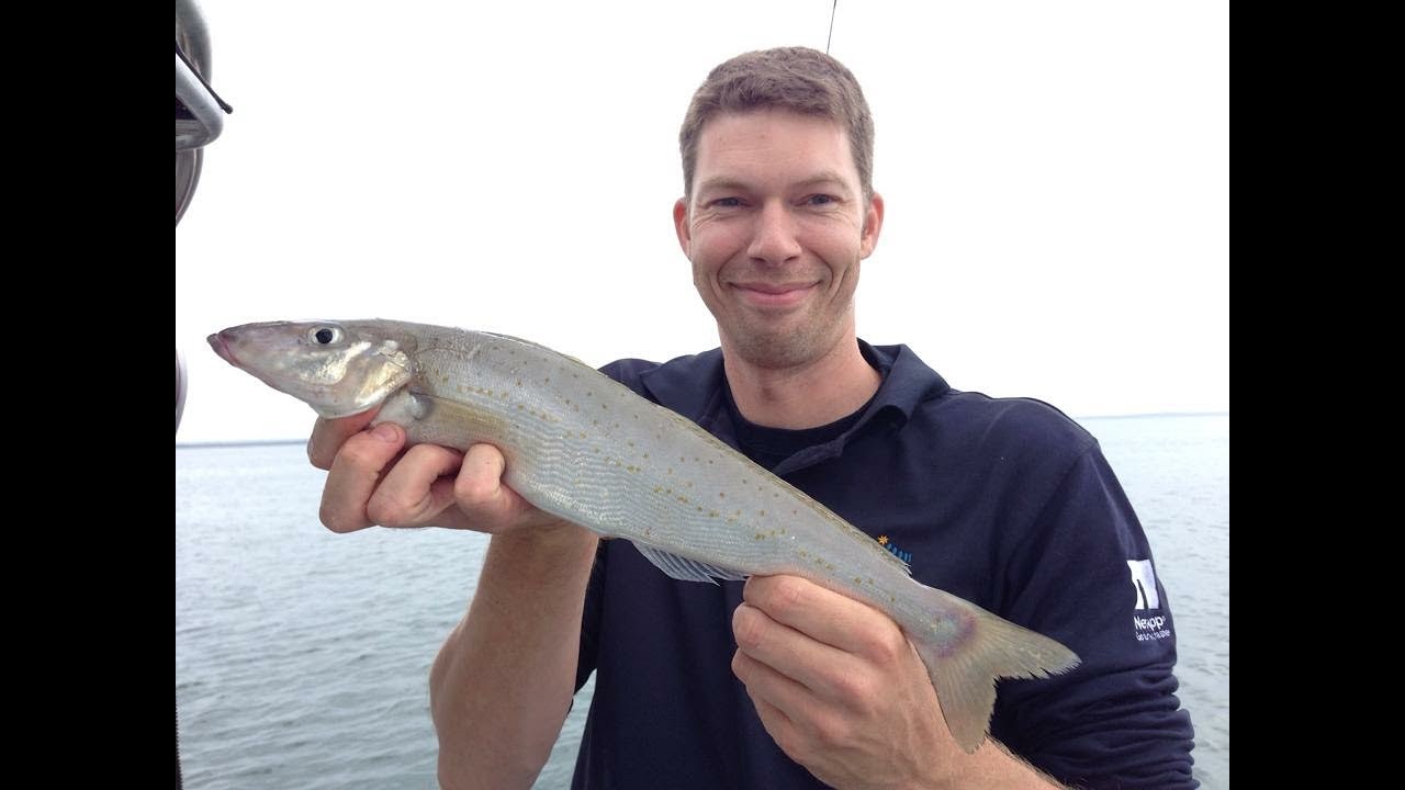 FERGY'S HOW TO SERIES- WESTERN PORT WHITING