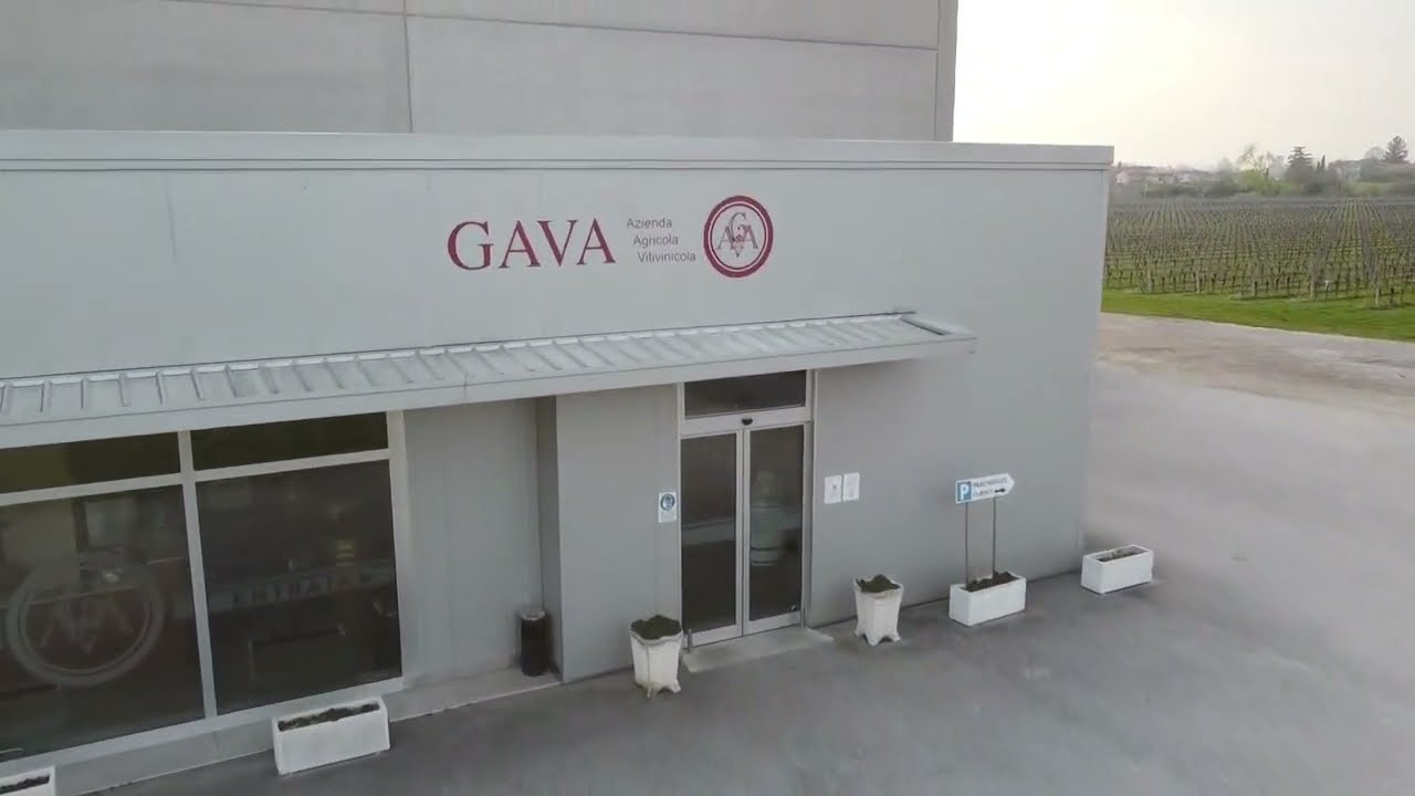 Vigneti e cantina Gava