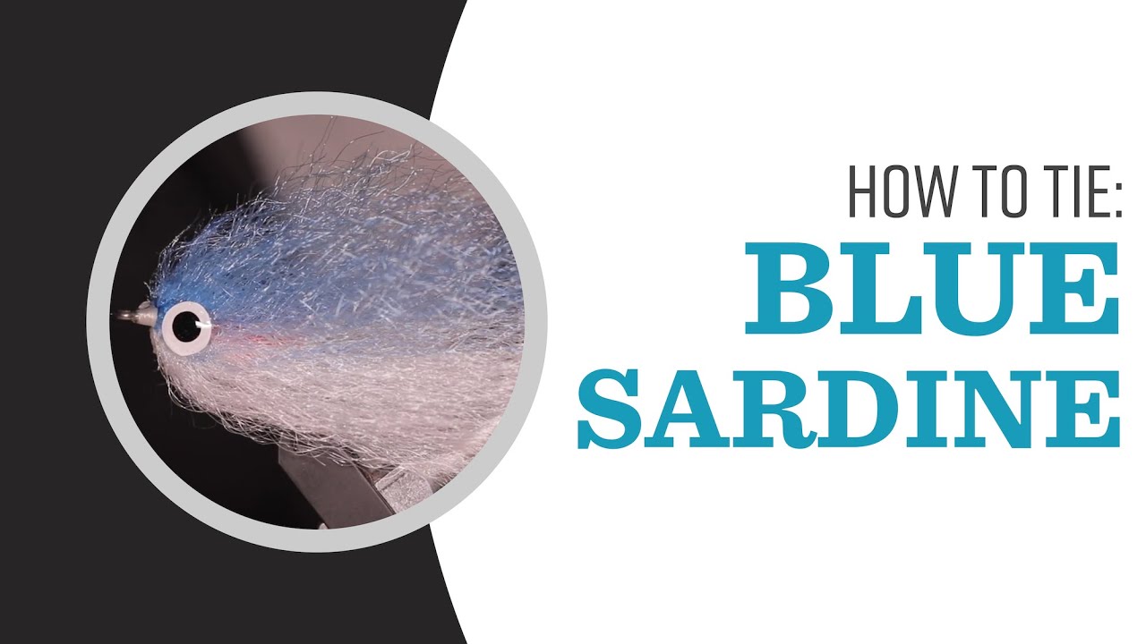 Fly Tying for Saltwater: The Sardine Baitfish Pattern