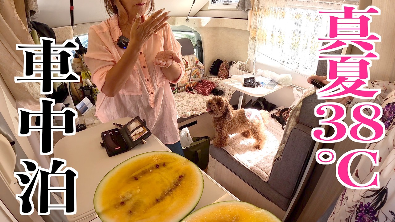 【猛暑38℃】犬連れ女子が大型キャンピングカーで冷房BBQ！涼しすぎて笑っちゃう夏の裏ワザ旅