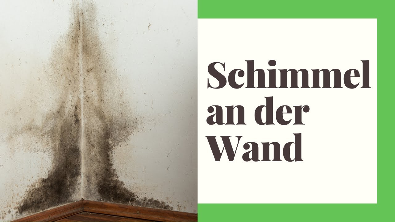 Schimmel an der Wand (Ursachen und Lösungen)