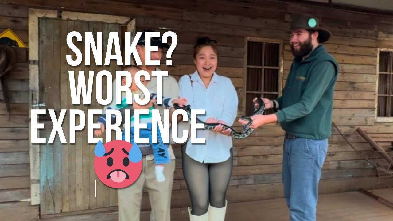 “The Scariest Snake Experience of My Life 😱”