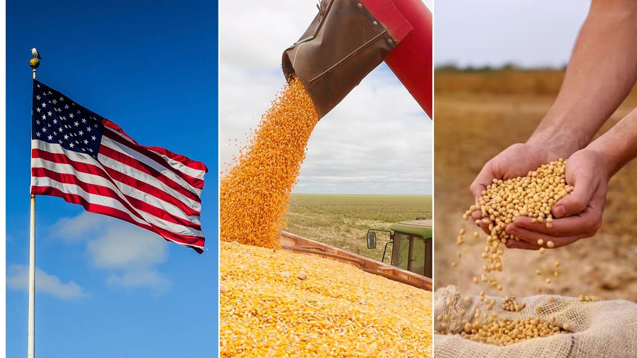Confira as principais notícias do agronegócio da manhã desta quarta