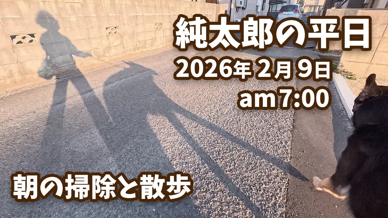 【ほぼノーカット・ノー編集】朝の掃除と散歩【ジャーマンシェパード・大型犬】