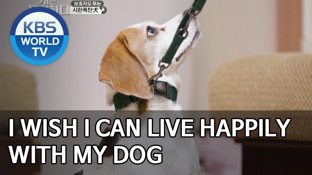 I wish I can live happily with my dog [Dogs are incredible/ENG/2020.03.17]