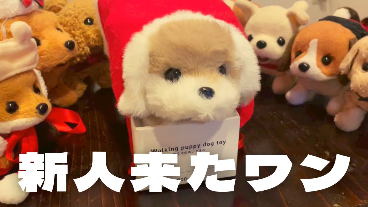 【動くおもちゃ犬】3COINSからやって来たワン【動くデカ子犬】