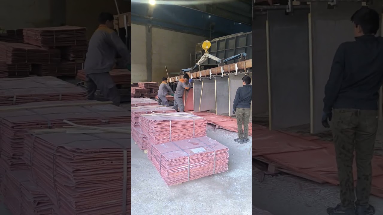 Cathode copper harvesting and bundle packaging. #Copper #Cathode #Production #Copper_extraction