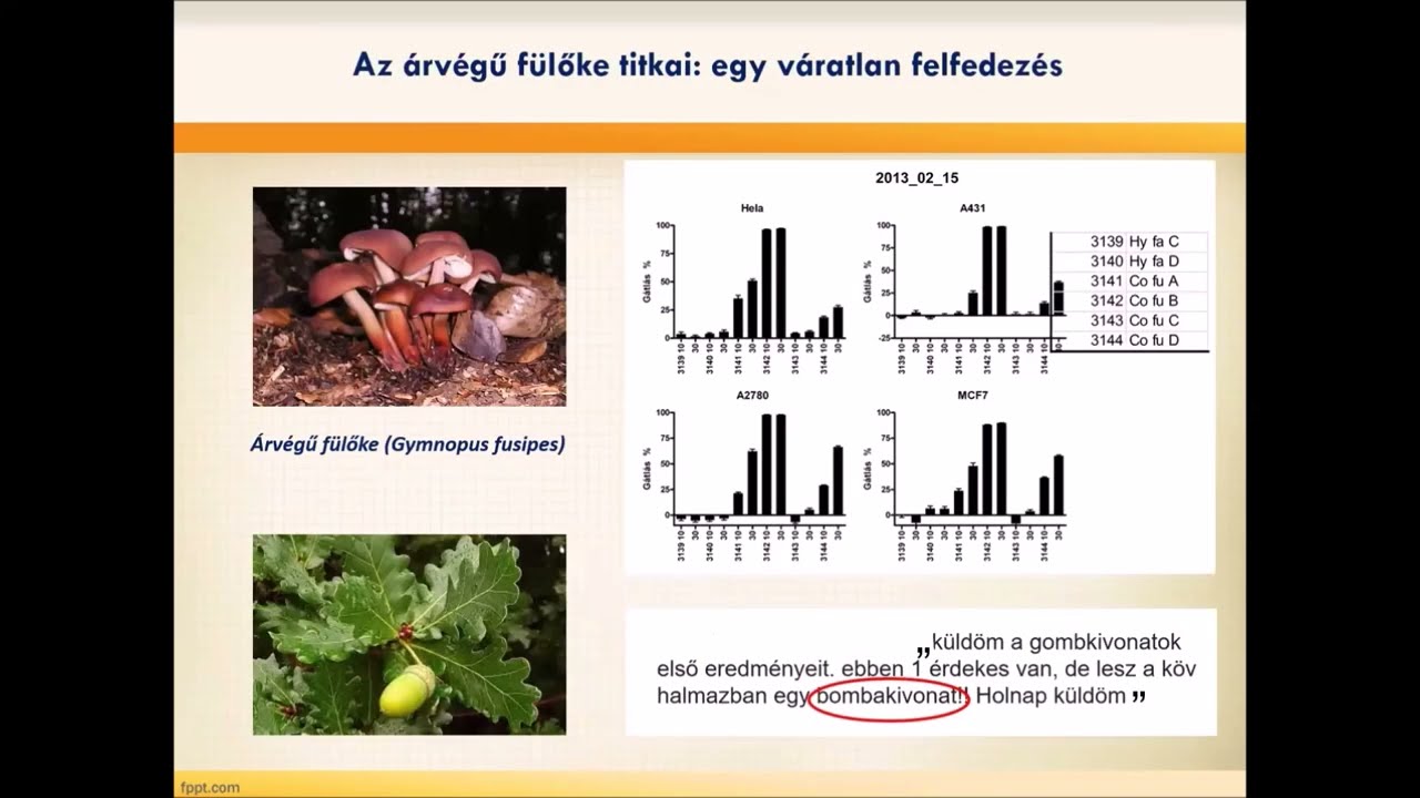 Feltárulnak a gombák - Tíz év a gombahatóanyag-kutatásban - Dr. Ványolós Attila