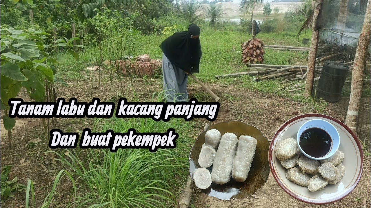 HIDUP SEDERHANA | MENANAM LABU KUNING DAN KACANG PANJANG | MEMBUAT PEKEMPEK