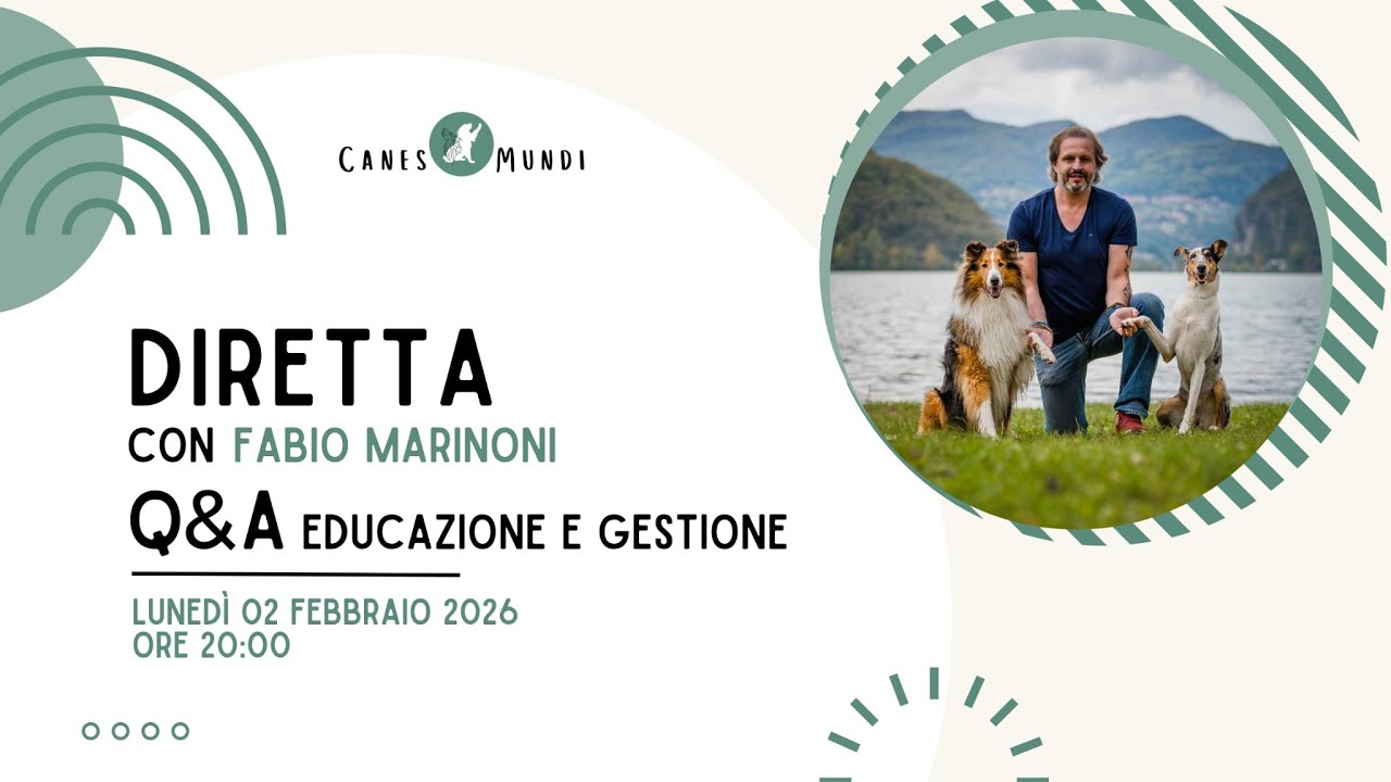 Consigli Educativi e Gestionali [Educazione Cinofila]