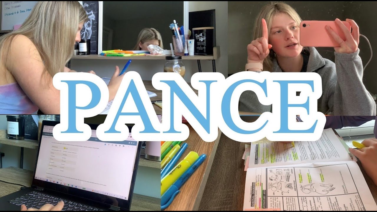 PANCE VLOG | Учитесь со мной | Я сдал?