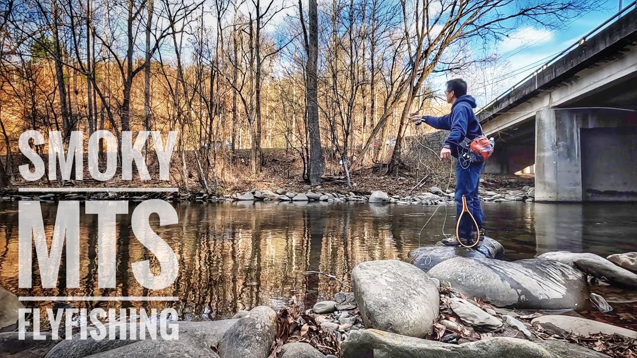 Smoky Mountains Fly Fishing By A Busy Highway