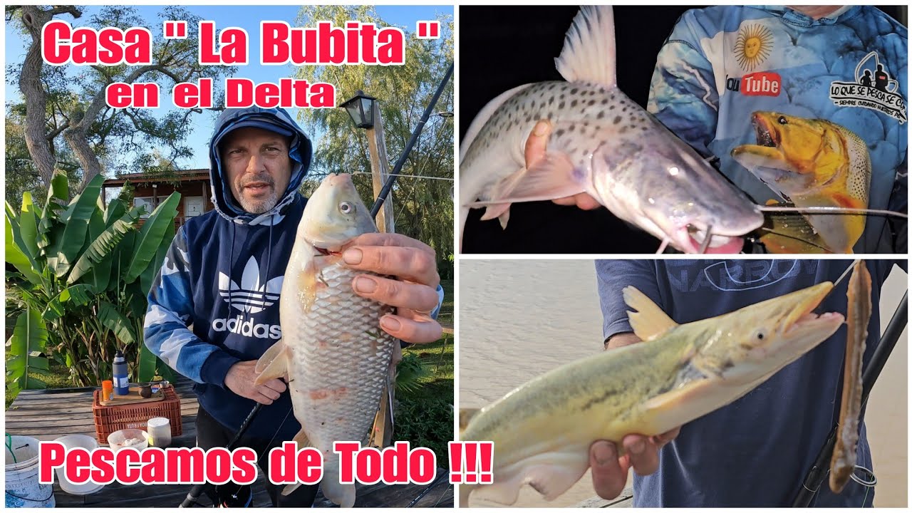 Volvimos al Delta , Río Capitán a Pura PESCA !!! Bogas , Pati , Manduba , Bagres , Pirañas y Armados